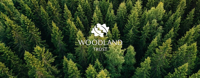 copertina-woodland