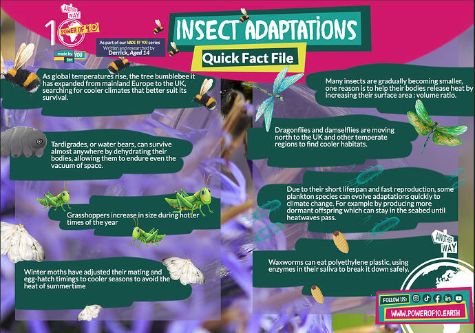 Screenshot 2026-04-06 at 09.19.11